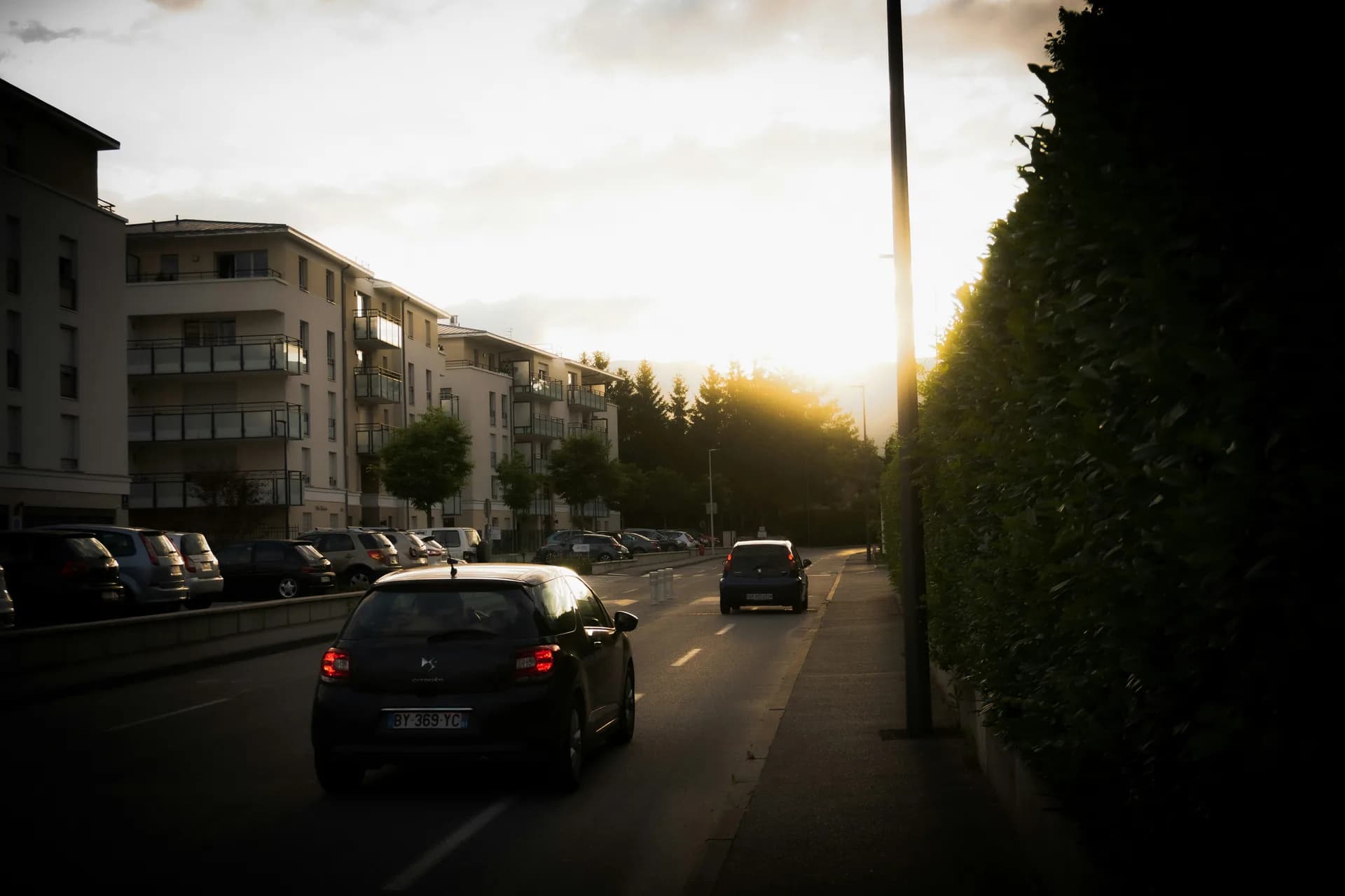 Vue de Ferney-Voltaire