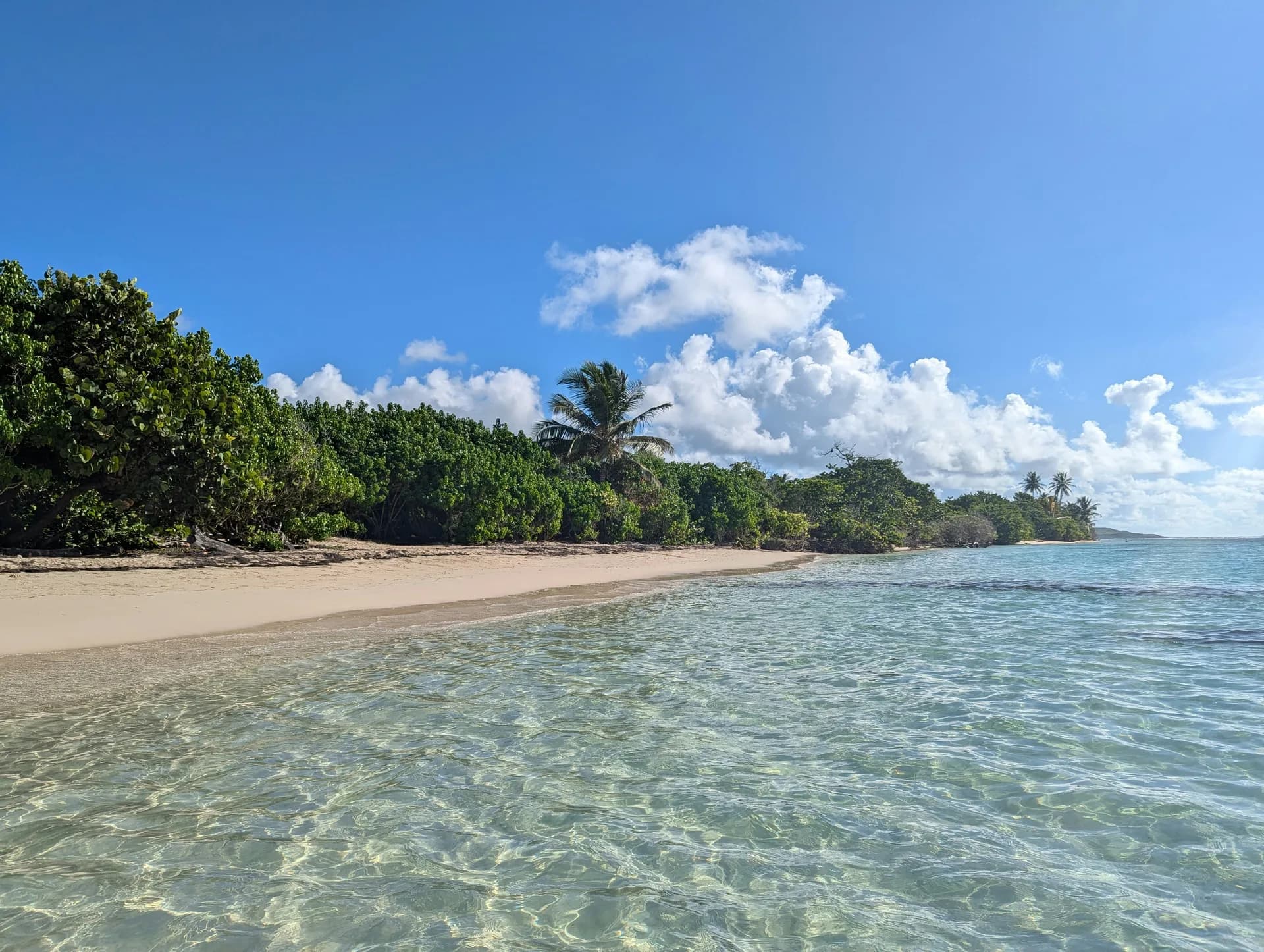 Vue de Morne-à-l'Eau