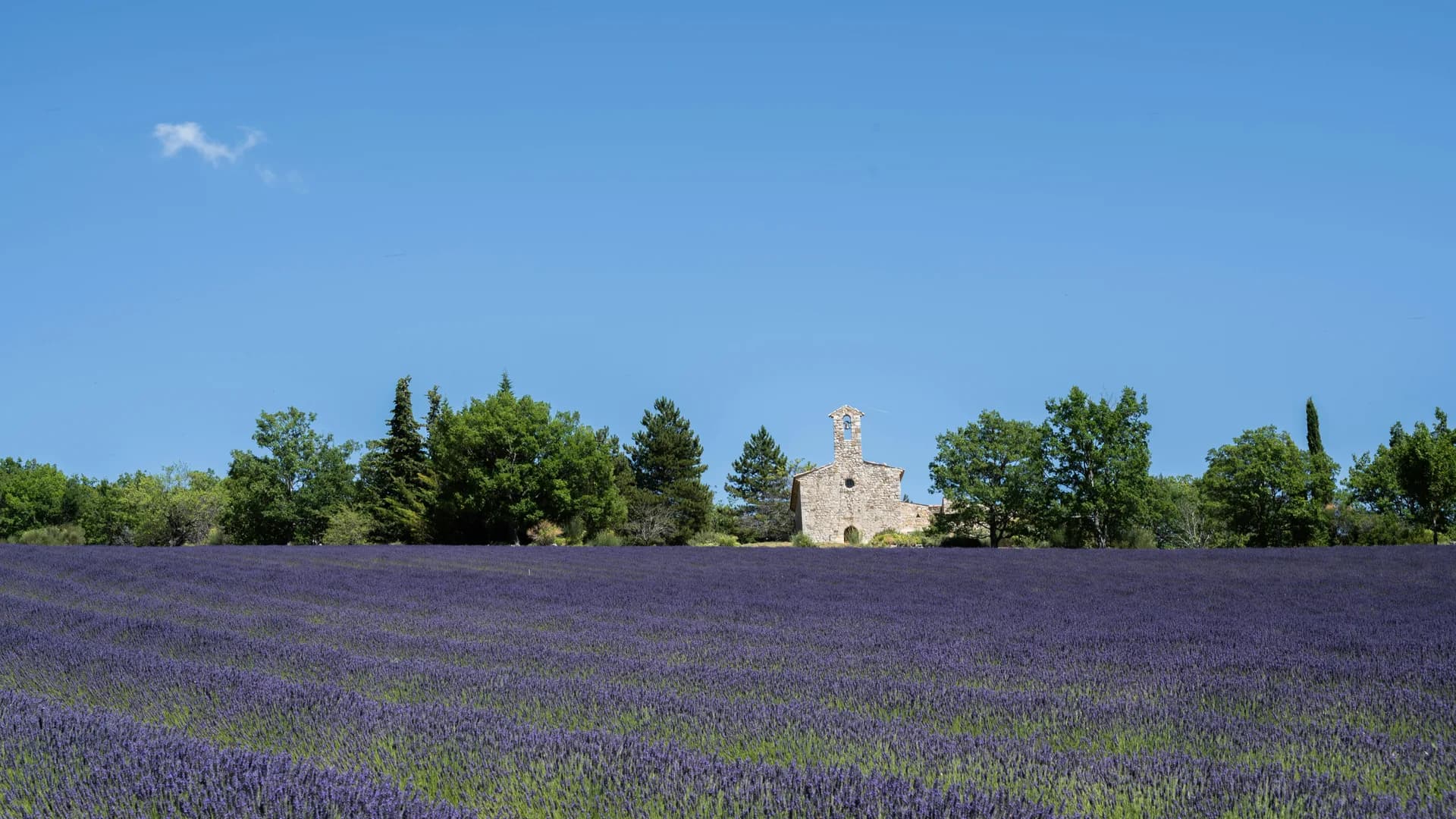 Vue de Salon-de-Provence