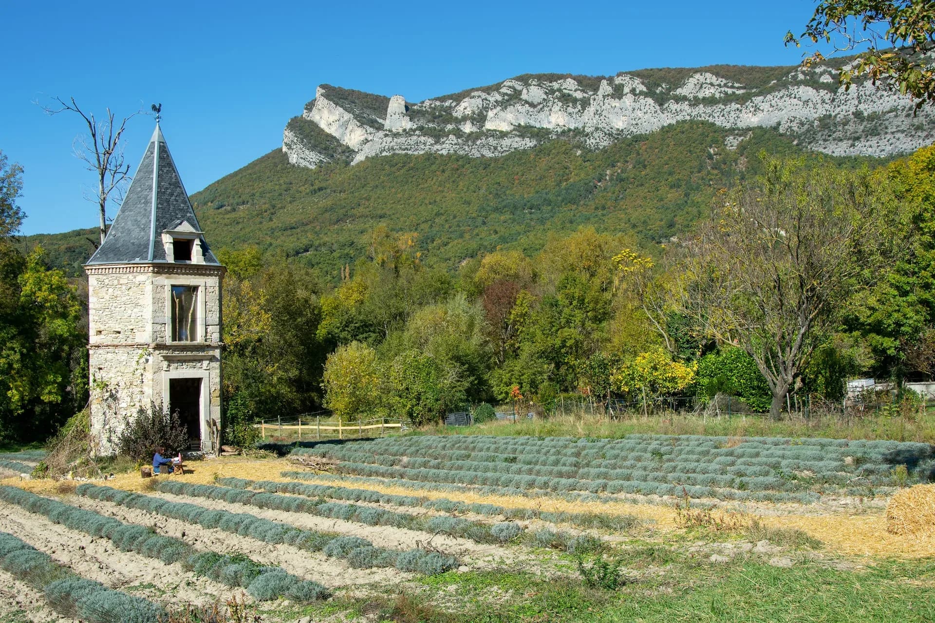 Vue de Templeuve-en-Pévèle